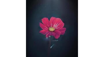 花海文案【花海文案短句】