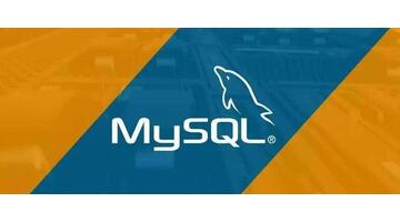 mysql数据类型【mysql数据类型有哪几种】