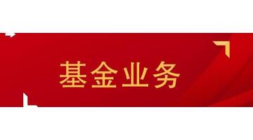 项目摘要怎么写【项目摘要怎么写模板】