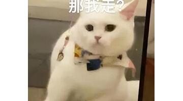装修设计网【装修设计网站】