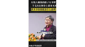 拼多多模式【拼多多模式如何盈利】