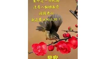 家庭兄弟姐妹聚会感言怎么写【家庭兄弟姐妹聚会感言短句】