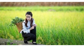 农村千元种植项目有哪些【农村千元种植项目是什么】