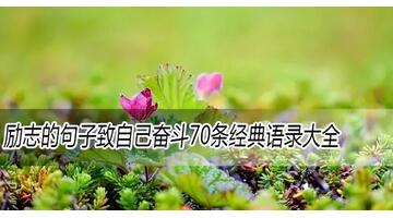 一句精辟的工作格言【一句精辟的工作格言热情】