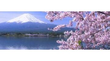 日本最佳赏樱地点在哪【日本著名赏樱景点】