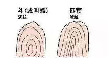 十个螺的女人命运【十个螺的女人命运好不好?】