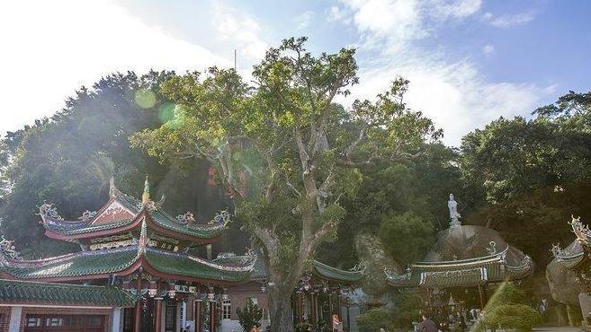 日光岩——鼓浪屿的最高点,可俯瞰鼓浪屿全景,门票60元