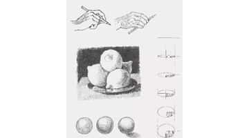 初学者简单速写步骤图画【初学者简单速写步骤图纸】