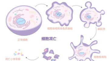 微卫星不稳定是什么意思【微卫星不稳定到底好还是不好】