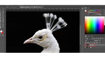 初学者photoshop抠图步骤【新手全教程ps抠图教程图解】