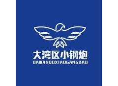 大湾区小钢炮