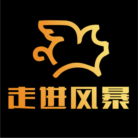 走进风暴logo设计