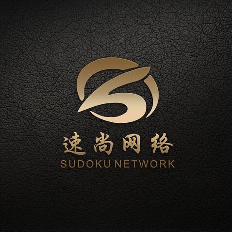 湖南速尚网络科技有限公司logo设计