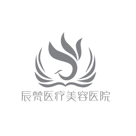 辰梵医疗美容医院logo设计