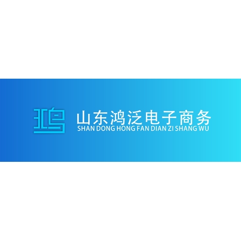 山东鸿泛电子商务logo设计