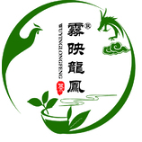 雾映龙凤LOGO