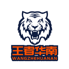 王者华南