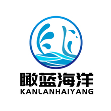 深圳市瞰蓝海洋科技有限公司