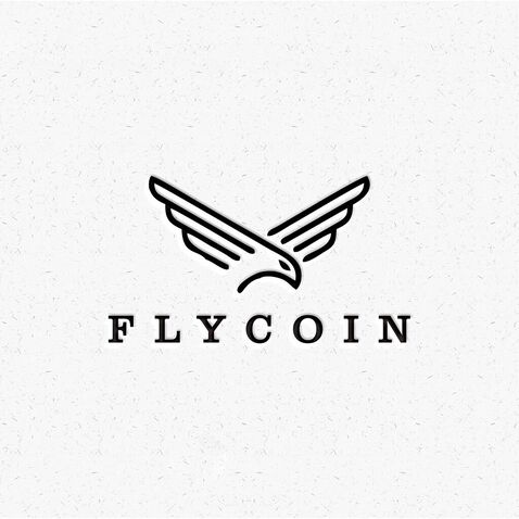 FlyCoinlogo设计