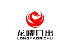 龙曜日出科技有限公司