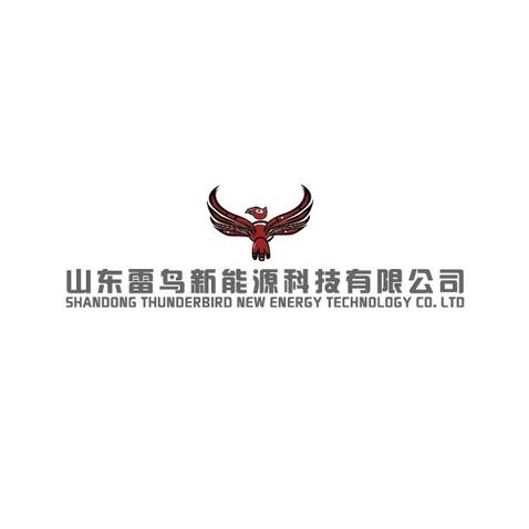 山东雷鸟新能源科技有限公司logo设计