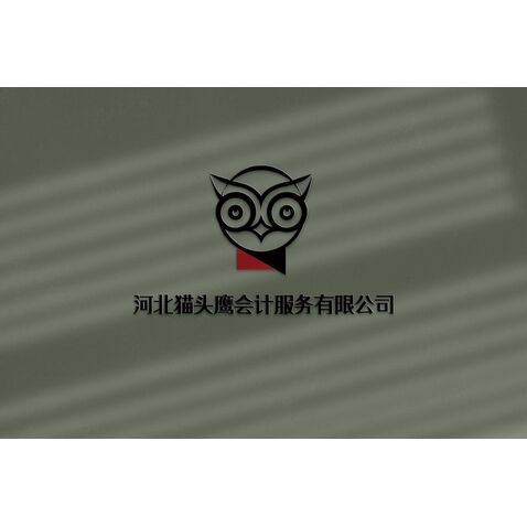 河北猫头鹰会计服务有限公司logo设计