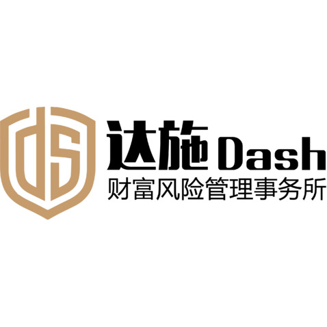 DSlogo设计