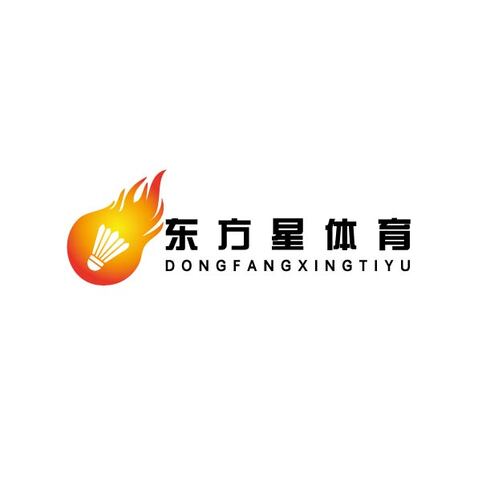 东方星体育logo设计