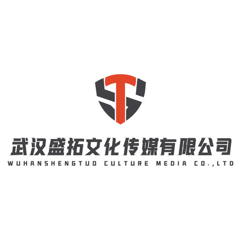 武汉盛拓文化传媒有限公司logo设计