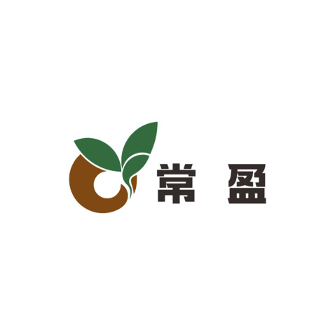 常盈logo设计