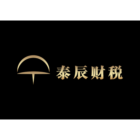 泰辰财税logo设计