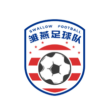 雏燕足球队