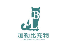 加勒比宠物