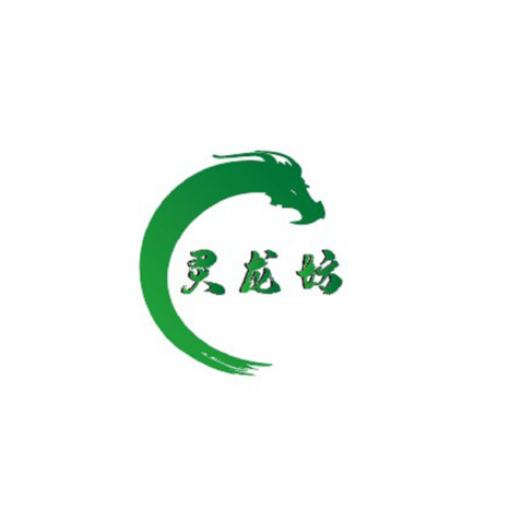 灵龙坊logo设计