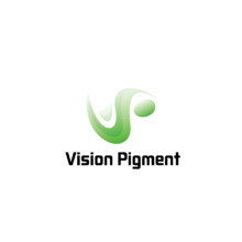vision  plgment