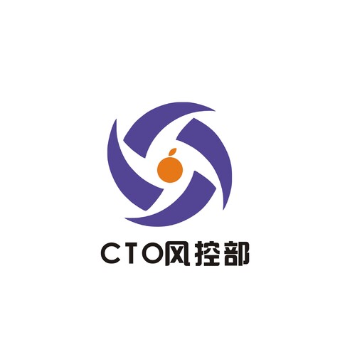 CTO 风控部logo设计