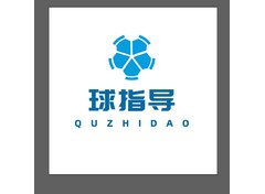 球指导