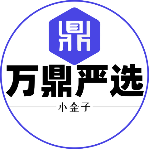 万鼎严选logo设计