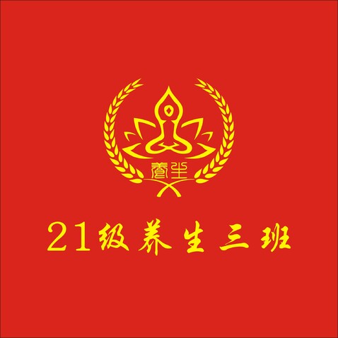 养生三班旗logo设计