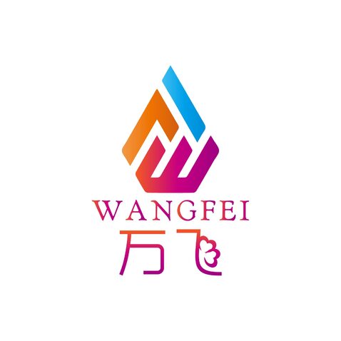 万飞logo设计