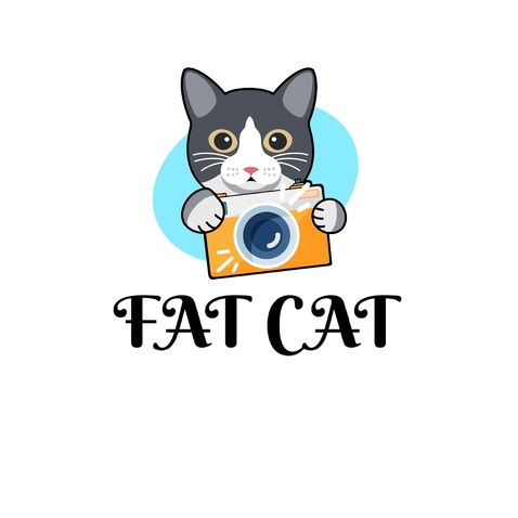 FATCATlogo设计