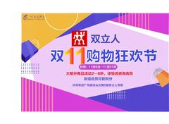 双11购物狂欢节