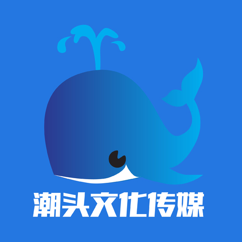 潮头文化传媒有限公司logo设计