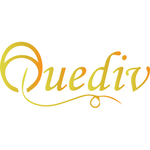 Quedivlogo设计