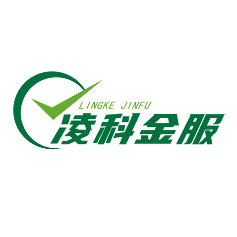 凌科金服logo设计