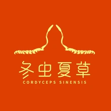 冬虫夏草