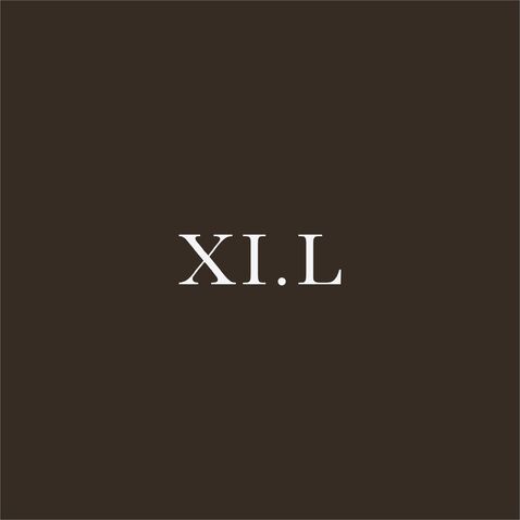 Xi . L1logo设计