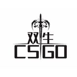 双生-CSGO