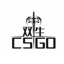 双生-CSGO