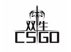 双生-CSGO